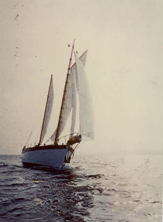 photo2_jpg